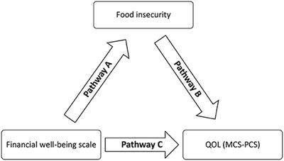 Financial Wellbeing and Quality of Life Among a Sample of the Lebanese Population: The Mediating Effect of Food Insecurity